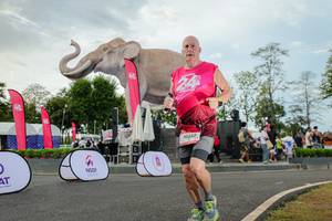 BIB: 
                            <button type="button" onclick="openModal(26528696)" class="btn btn-primary btn-sm float-right btn-popup" data-toggle="modal" data-target=".modal-high-quality">
                        <i class="fas fa-shopping-cart"></i> Add to Cart
                    </button>
                                            <button type="button" onclick="isThisMe(26528696, true)" class="btn btn-success btn-sm float-right btn-popup btn-isme hidden" data-toggle="tooltip" data-placement="bottom" title="นี่คือรูปของคุณใช่ไหม คลิกที่นี่เพื่อเอาเข้าอัลบั้ม">
                        <i class="fas fa-plus"></i> Add to album
                    </button>
                    <button type="button" onclick="isThisMe(26528696, false)" class="btn btn-warning btn-sm float-right btn-popup btn-isnotme hidden">
                        <i class="fas fa-ban"></i> Remove from album
                    </button>